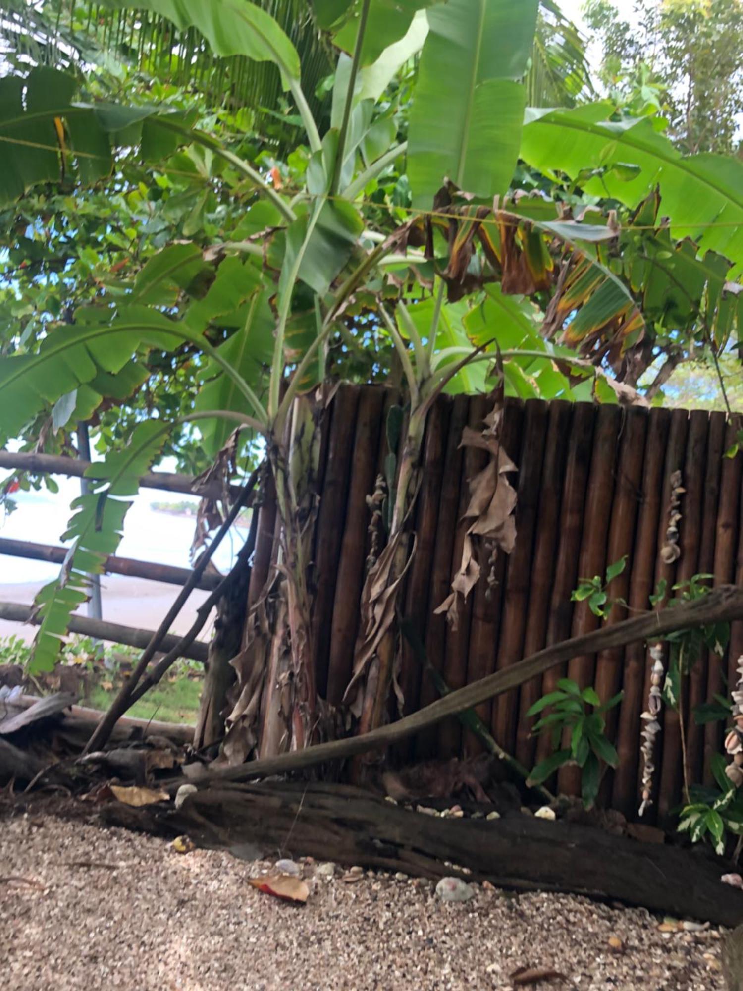 El Marabu Chill'N Surf Bed & Breakfast Aposentillo Exterior photo