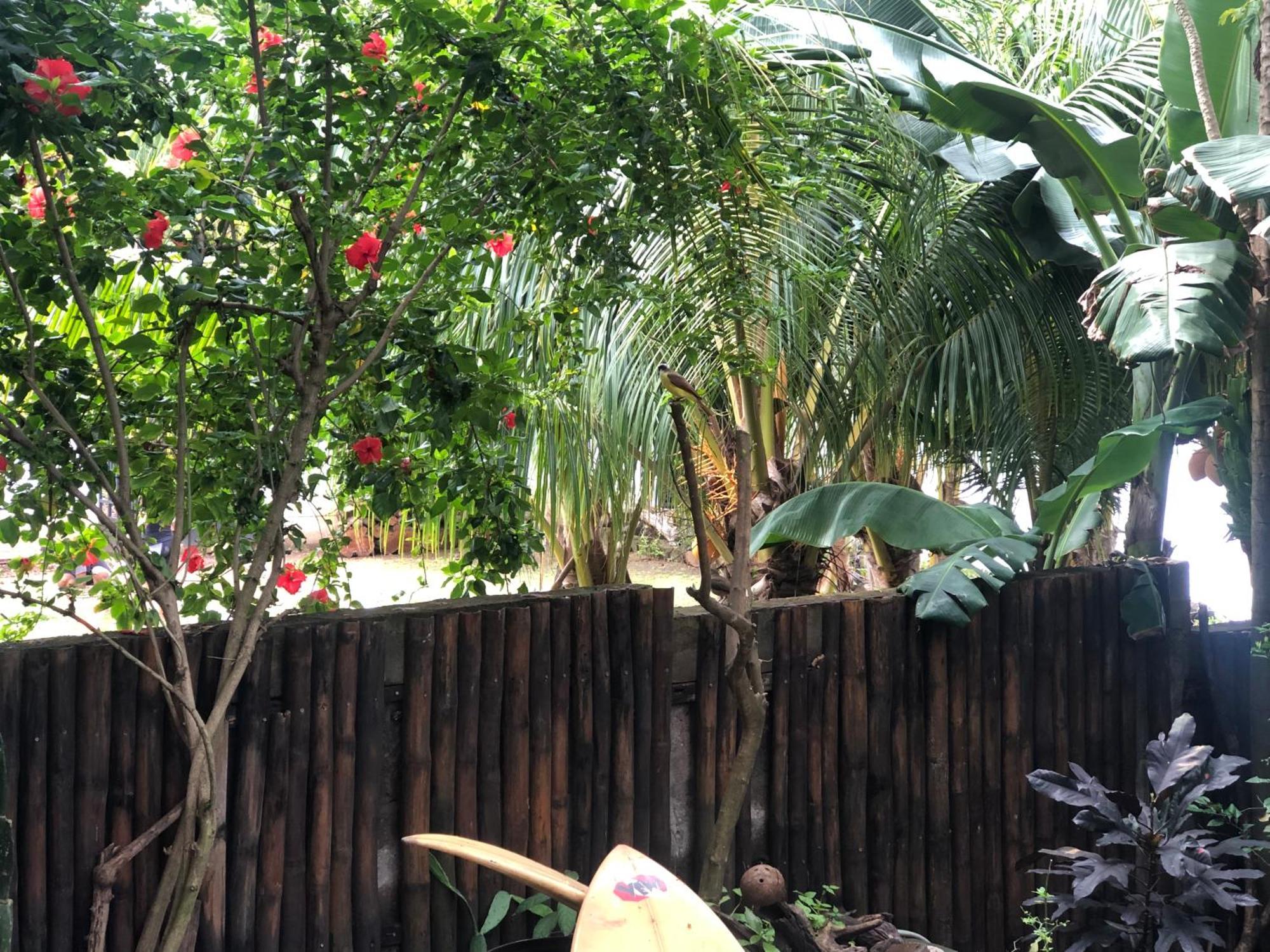 El Marabu Chill'N Surf Bed & Breakfast Aposentillo Exterior photo