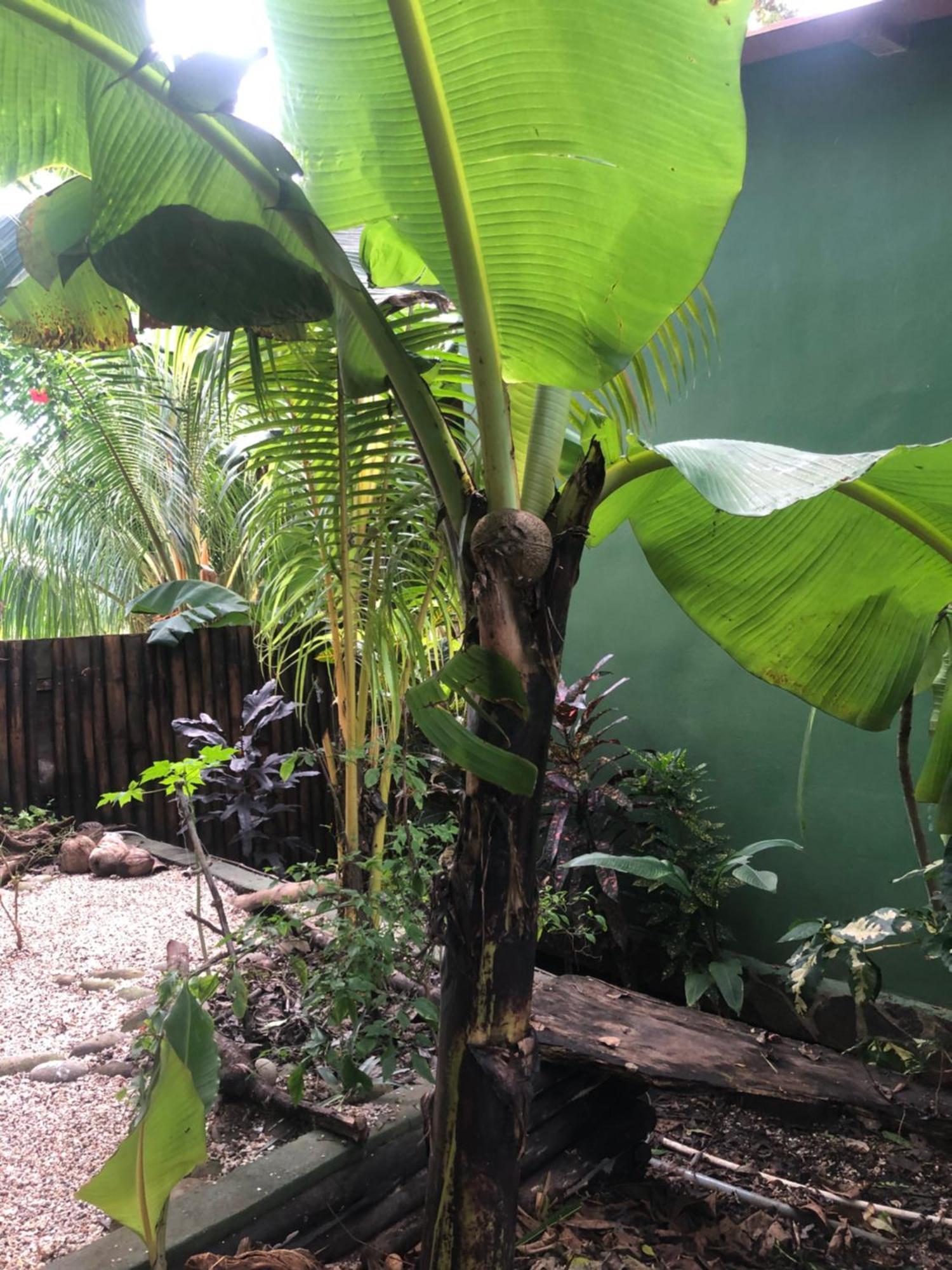 El Marabu Chill'N Surf Bed & Breakfast Aposentillo Exterior photo